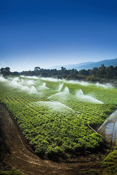 Modern Irrigation System